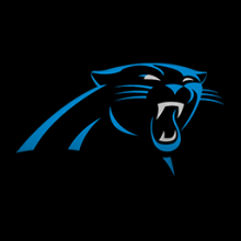 Carolina Panthers (2020)