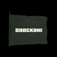 ShockOne